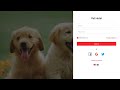 Build a Pet Hotel Web App with React, GraphQL, NodeJS and SQL, MongoDB or Firebase using ScaffoldHub