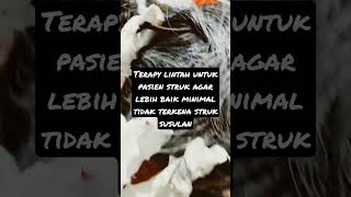 Terapi Lintah jadi Alternatif Sembuhkan Berbagai Penyakit