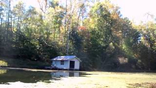 How to control Aquatic Weeds " Watershield"  With tommy Cowett Growingreeen
