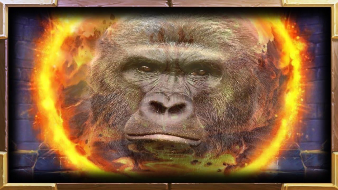 Best of Firelands Portal Moments #2 | Hearthstone