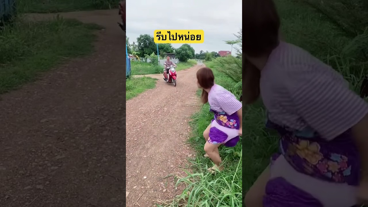 The Best Funny Dog Cake Moments