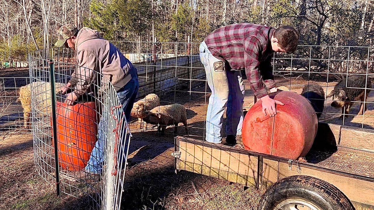 Видео о силосе в бочках! Как вам понравилось?
