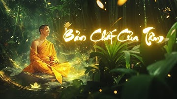 Bản Chất Của Tâm | Thiền Sư Ajahn Chah |