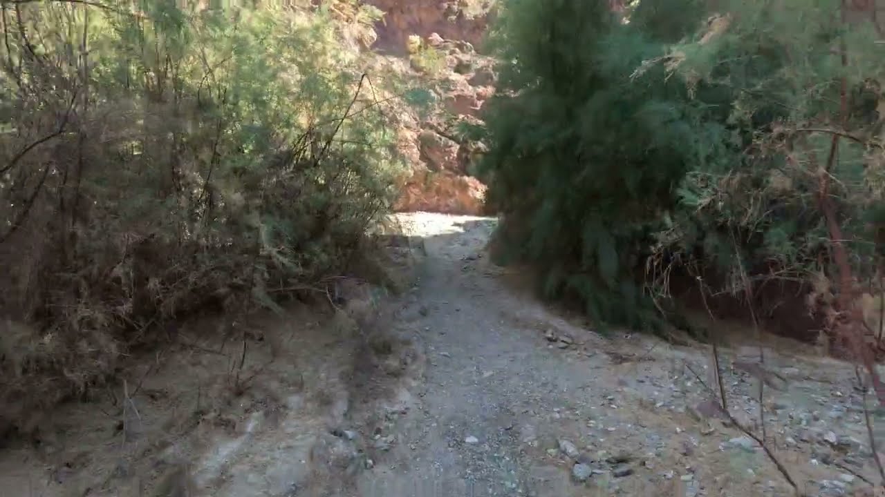 Hiking Arizona’s Most Dangerous Ladder Trail 