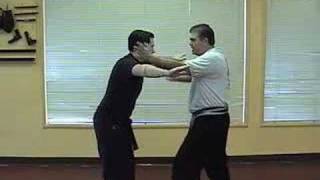 AKKF - Mohamad Tabatabai - American Kenpo Karate -DVD teaser