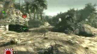 MaChiNe vX: Call of Duty 5 and 4 Montage