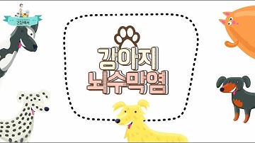 # 강아지 경련 원인, 뇌수막염 증상과 치료_이든동물의료센터