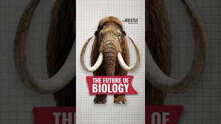 Why scientists are trying to bring back the woolly mammoth