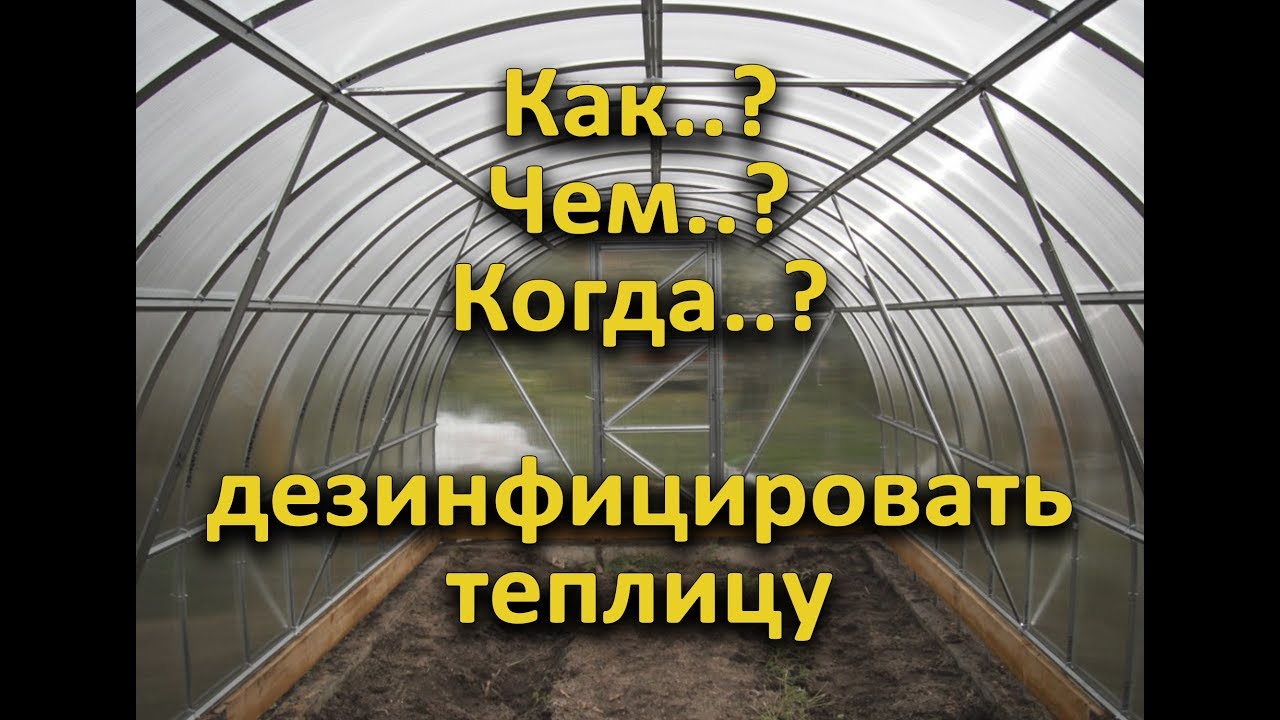 Как дезинфицировать теплицу?