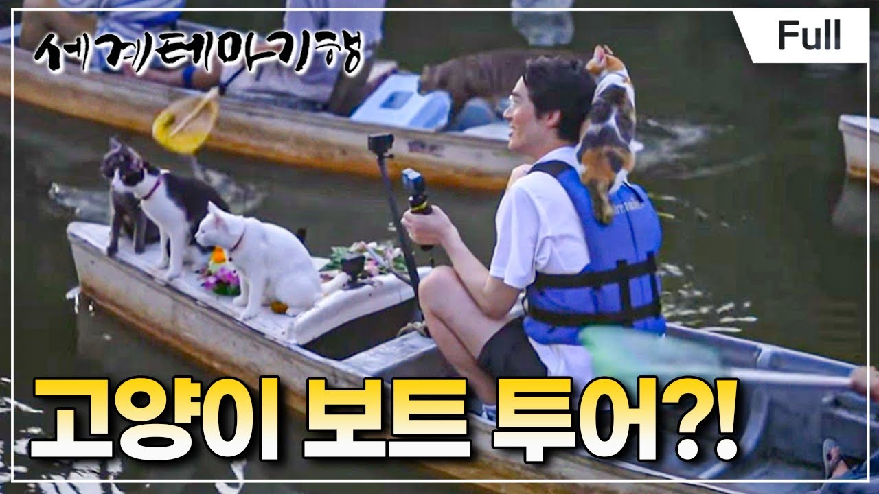 [Full] 세계테마기행 - 사바이 사바이 태국- 완벽한 하루 방콕·파타야