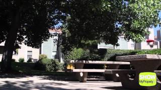 Famous Chesapeake Commons Apartments Video! Wealth