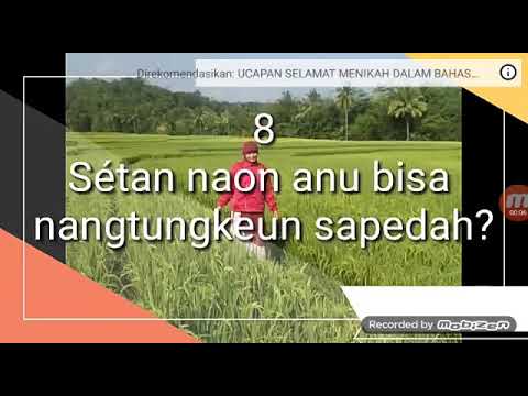 tatarucingan sunda lucu