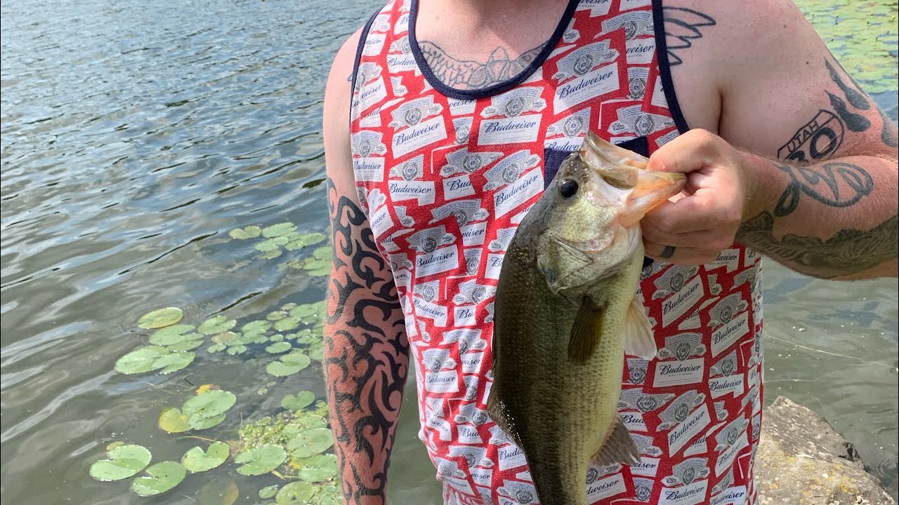 Quick Evening Bass Fishing