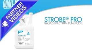 Strobe Pro Fungicide