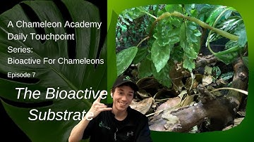 Learn about bioactive substrate