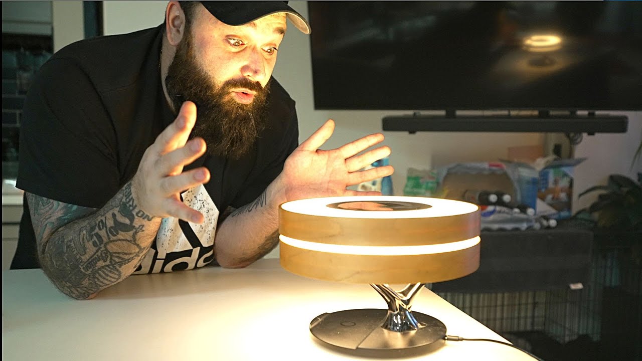 This Circle Of Life Lamp is really COOL