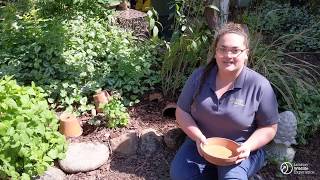 Create Your Own Toad House