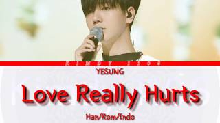 Download Lagu YESUNG 'Love Really Hurt (Ost Tazza)' Lyric [Han/Rom/Indo] MP3
