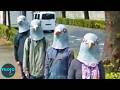Top 20 CREEPIEST Things Found on Google Earth