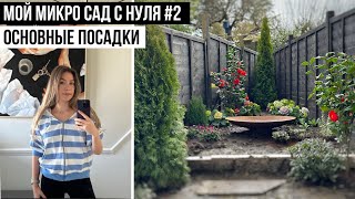 САД С НУЛЯ В БОЛЬШОМ ГОРОДЕ #2 Сад на 3 сотках