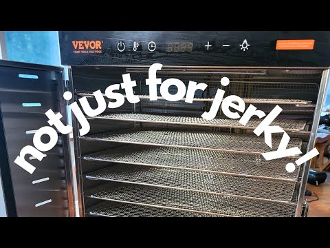 Taking A Look At The Vevor 10 Tray Food Dehydrator Gourmet Woodsman