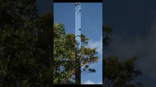 The mill wheel sung TW #shorts #music #oldmusic #publicdomainmusic