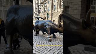 Charging Bull Broadway Manhattan, New York. #newyork #travel #usa #india #nycblog #nycvibes #nyclife