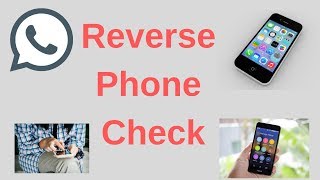 Phone number search - Fast and easy!
