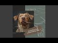 Hound Jive Junction