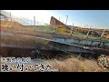 30cm水路で衝撃…【浜名湖釣り】🎣カニを落としてみるとまさかの🐟