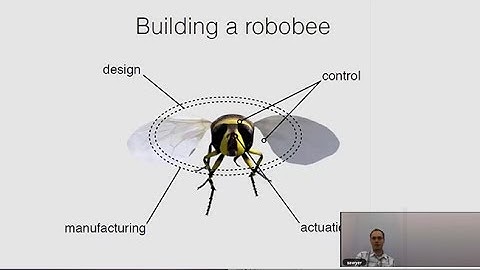 RoboBee: The Flight Apparatus of Flying Insects