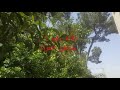 نكتة رقم ٦ شاطئ العراة نكتة رقم ٧ صاحب سوبرماركت كثير محشش نكتة رقم ٨ نحنا صرنا واحد نكتة رقم ٦ شاطئ العراة نكتة رقم ٧ صاحب سوبرماركت كثير محشش نكتة رقم ٨ نحنا صرنا واحد