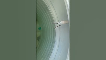 Water tank alarm #shortvideo #youtubeshorts #shorts