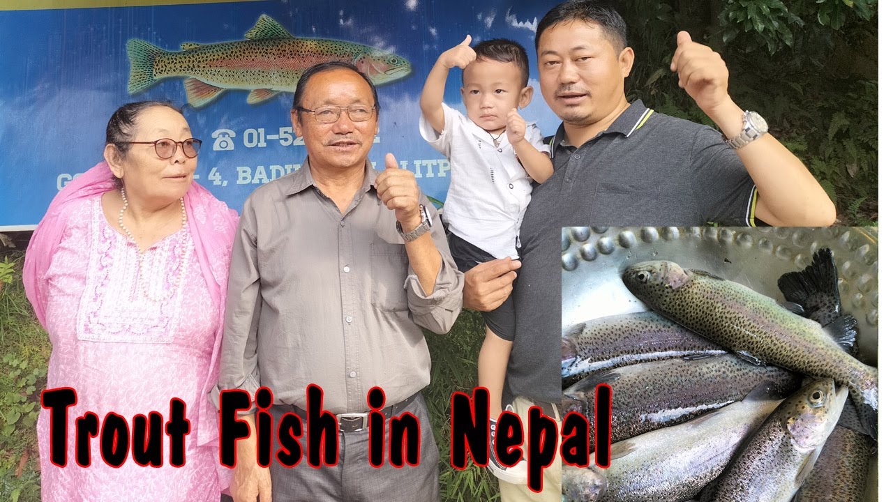 baze nati Trout Fishing Trout Fish in Nepal Trout Restaurant in