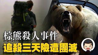 5名學生登山旅行,卻遭棕熊追殺三天,差點被團滅丨英大吉
