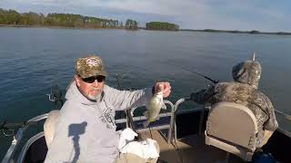 Perch Fishing with Bonus Bass at Clarks Hill, 1-7-23 by Little Horse Creek Adventures 328 views 1 year ago 34 minutes