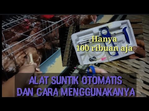 Video: Prostakor - Petunjuk Penggunaan Suntikan, Ulasan, Harga, Analog