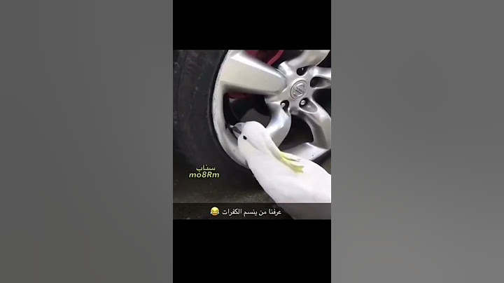 عرفنا مين اللي ينسم كفرات السيارة 😅💔