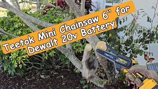 Teetok (PEDONY) Mini Chainsaw 6’’ for Dewalt 20v Battery Full Review / Tutorial