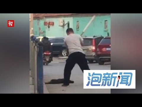 10/04: 中国男子打死狗 "狗我养的 我打死它 "