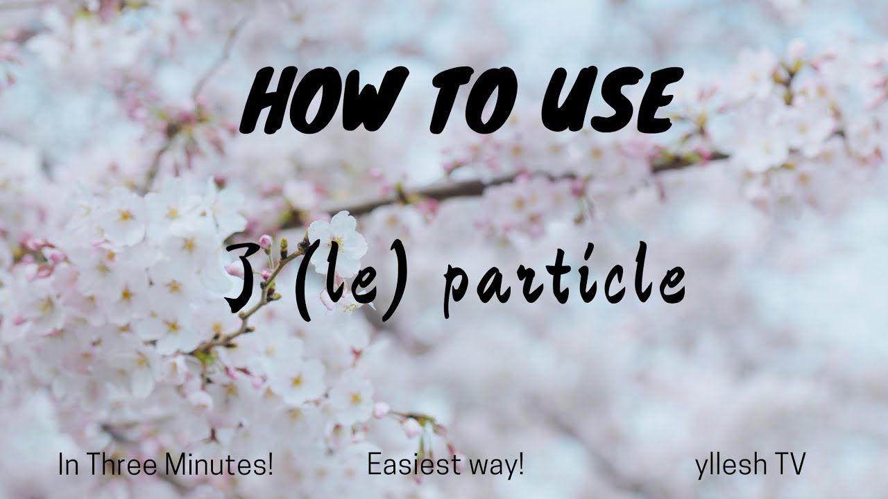 Mandarin Chinese Particles| How to use le了| yllesh TV - YouTube