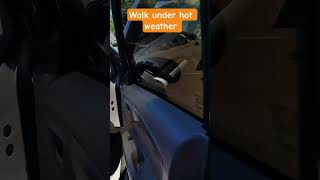 walking under the sun #walking #viralvideo# #youtubeshorts #trending#shorts