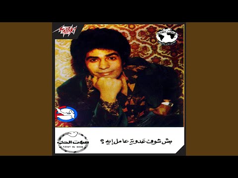 Boss Shof Adaweia