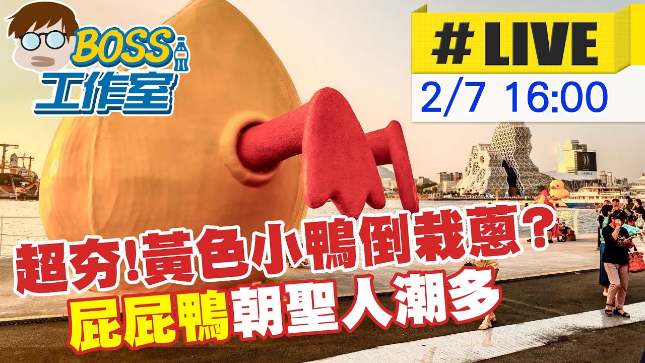 【BOSS工作室 互動LIVE】超夯!黃色小鴨倒栽蔥? 