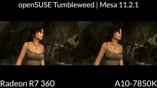 Tomb Raider 2013 | Linux Mesa AMD Driver Benchmark