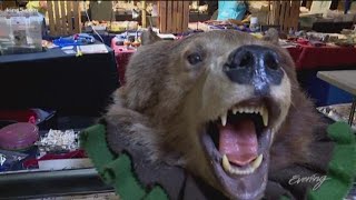 The Fremont Sunday Market is the best place to find a bargain - KING 5 Evening