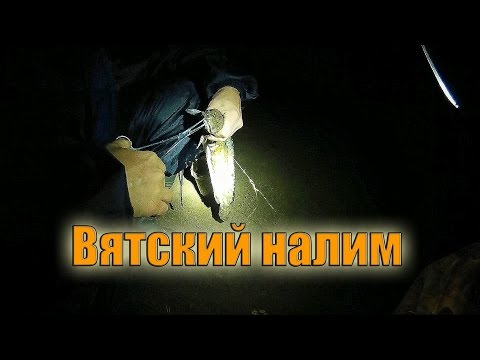 Ловля Налима на Донные Снасти Донки на Налима. Ловля Налима на Малька и Червя - MaxFishing №29 Ловля Налима на Донные Снасти Донки на Налима. Ловля Налима на Малька и Червя - MaxFishing №29