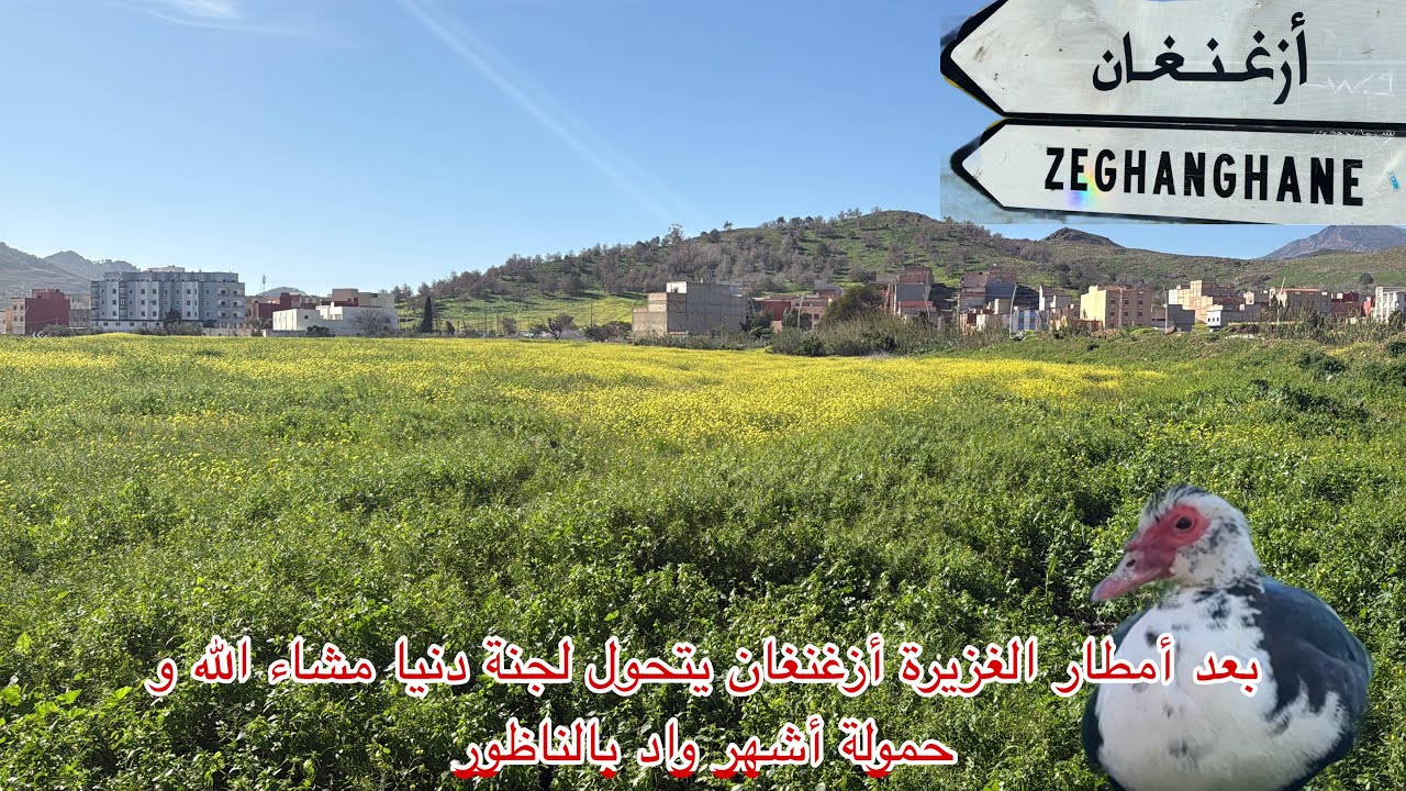 🔴بعد أمطار الغزيرة أزغنغان يتحول لجنة دنيا مشاء الله و حمولة أشهر واد بالناظور