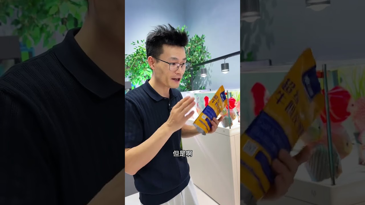 解决七彩神仙鱼开口问题,该怎么选择鱼粮 #观赏鱼 #水族
