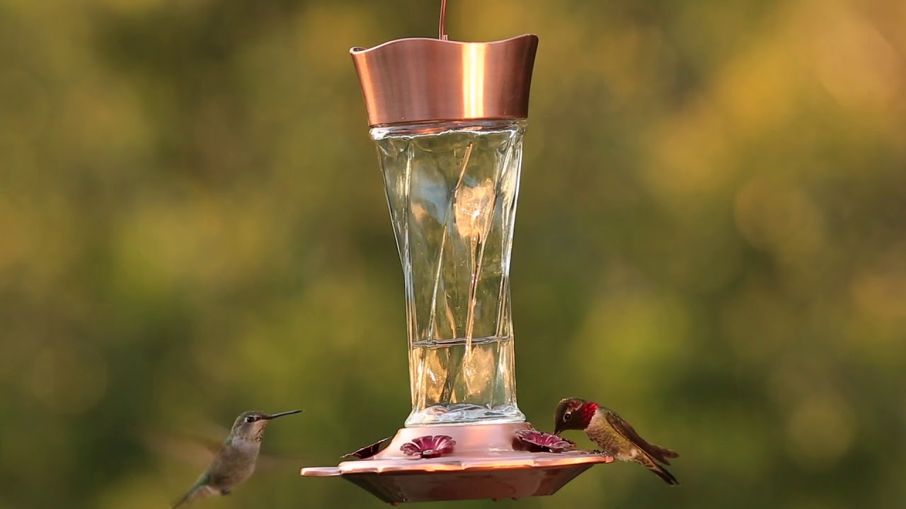 More Birds® Copper Twist 11 oz. Hummingbird Feeder